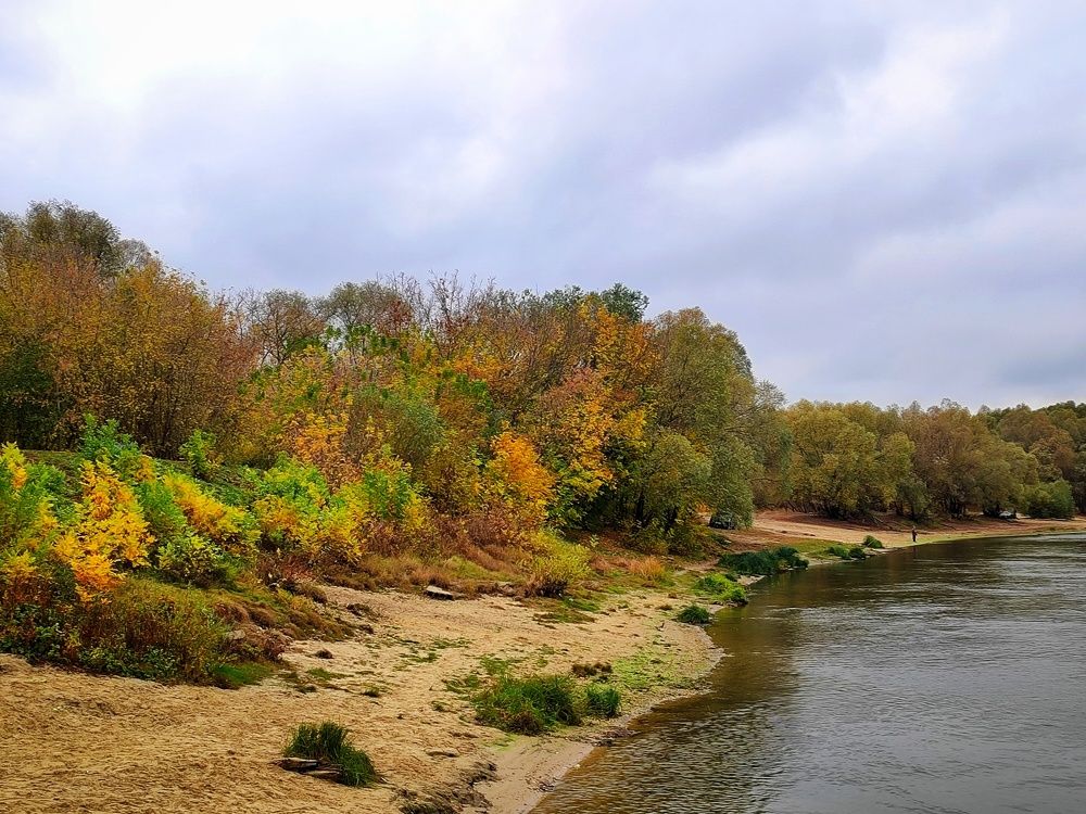 Осенний берег