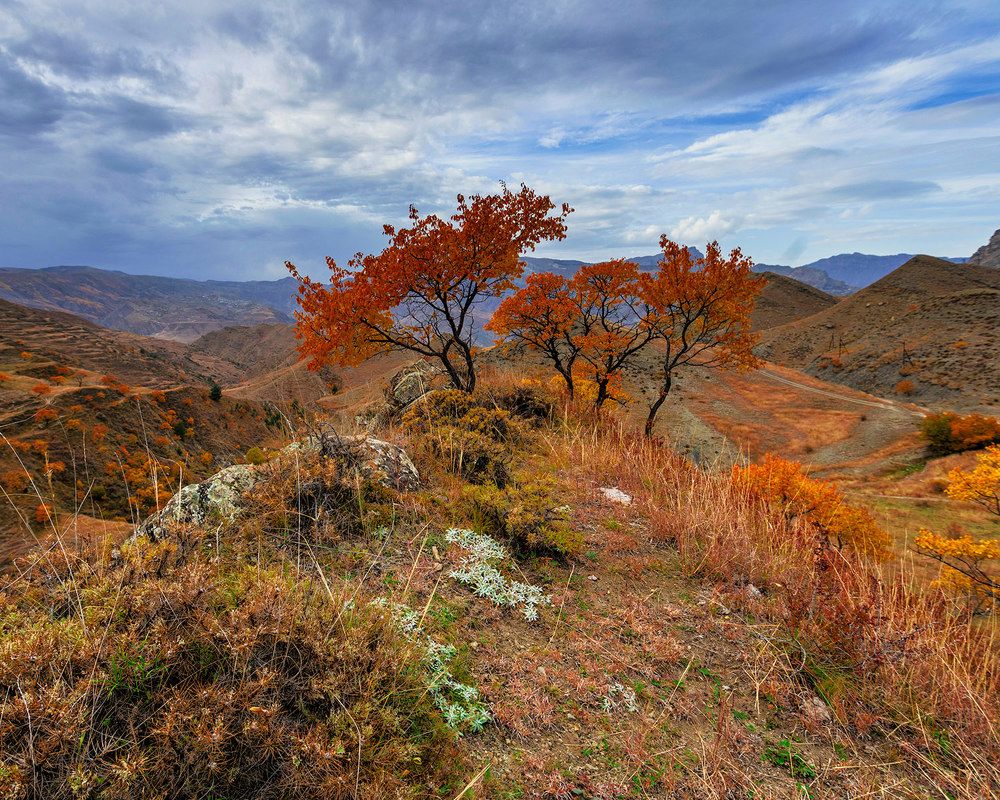 Photograph by Антипов Игорь