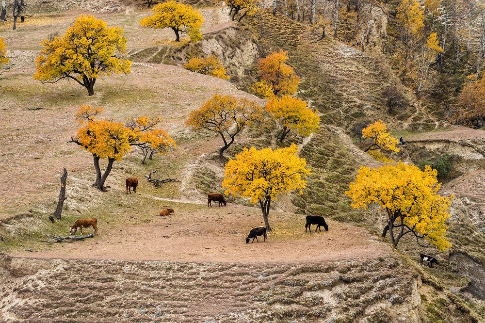 Photograph by Антипов Игорь