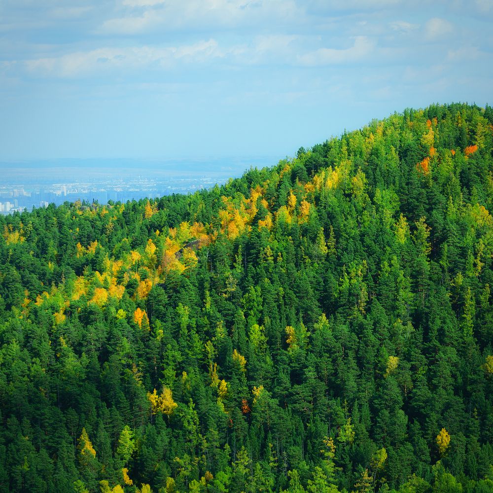 Photograph by Sergey Tyasto