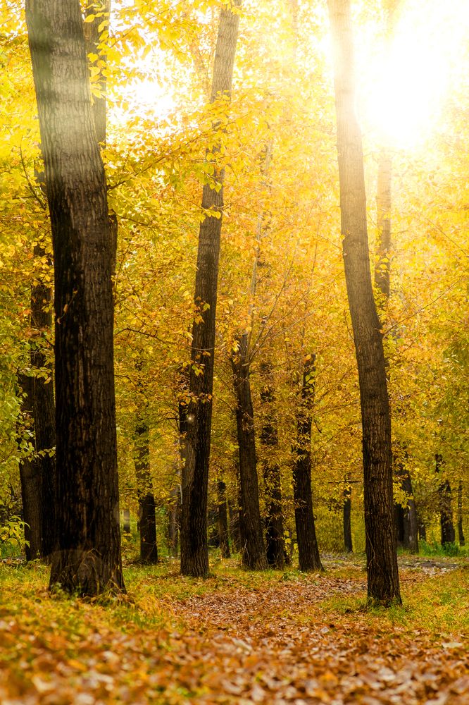 Photograph by Sergey Tyasto