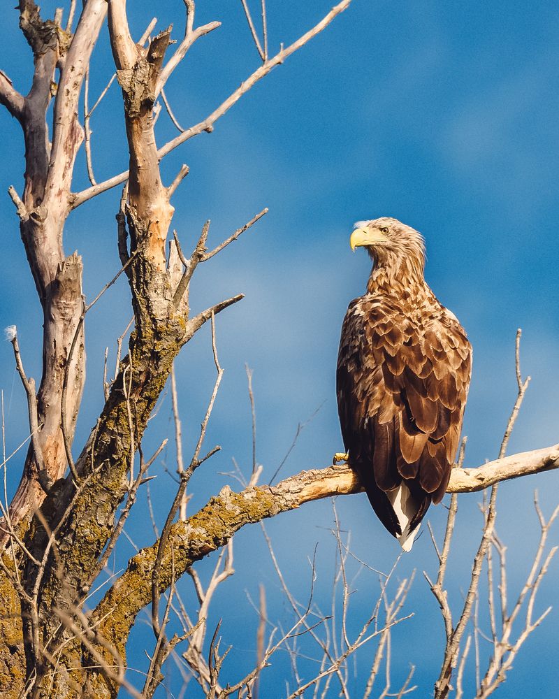 Photograph by Андрей Белавин