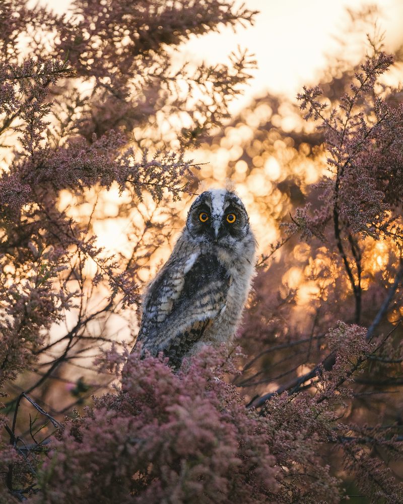 Photograph by Андрей Белавин