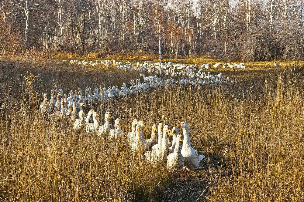 Photograph by Юрий Борик