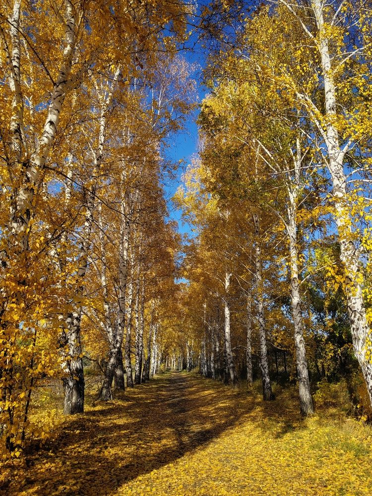 Photograph by Наталья Веряскина