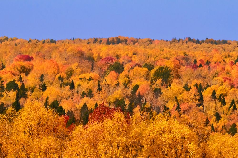 Photograph by Дмитрий Пасынков