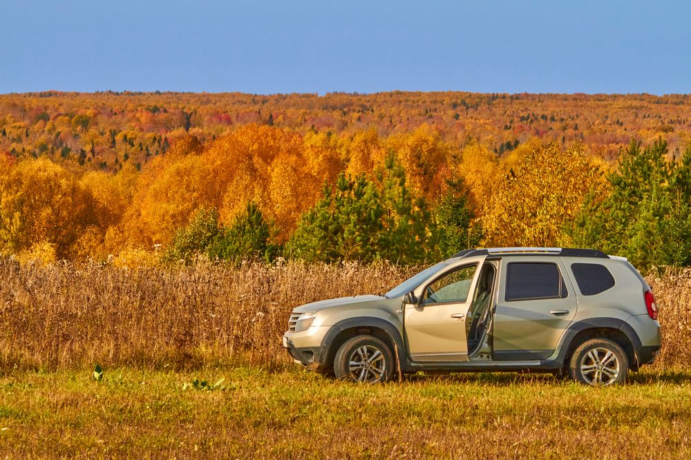 Photograph by Дмитрий Пасынков