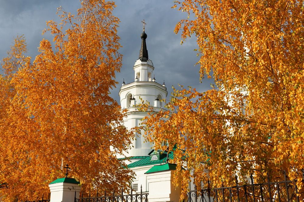 Золото осени