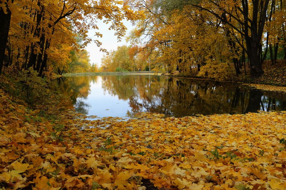 Всё остальное желтым...