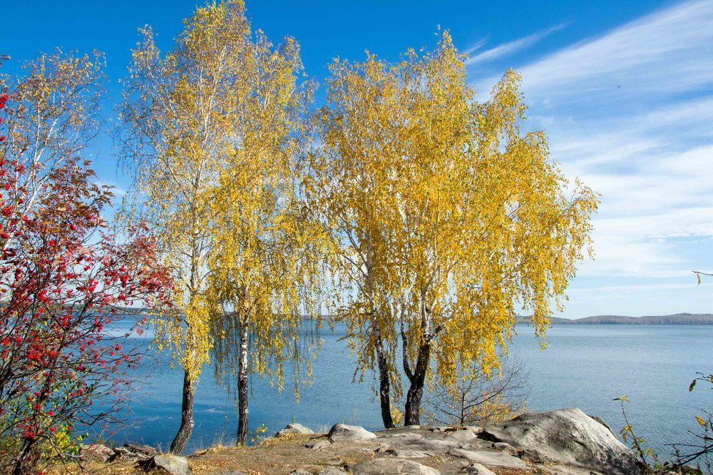 Photograph by Евгения Антропова