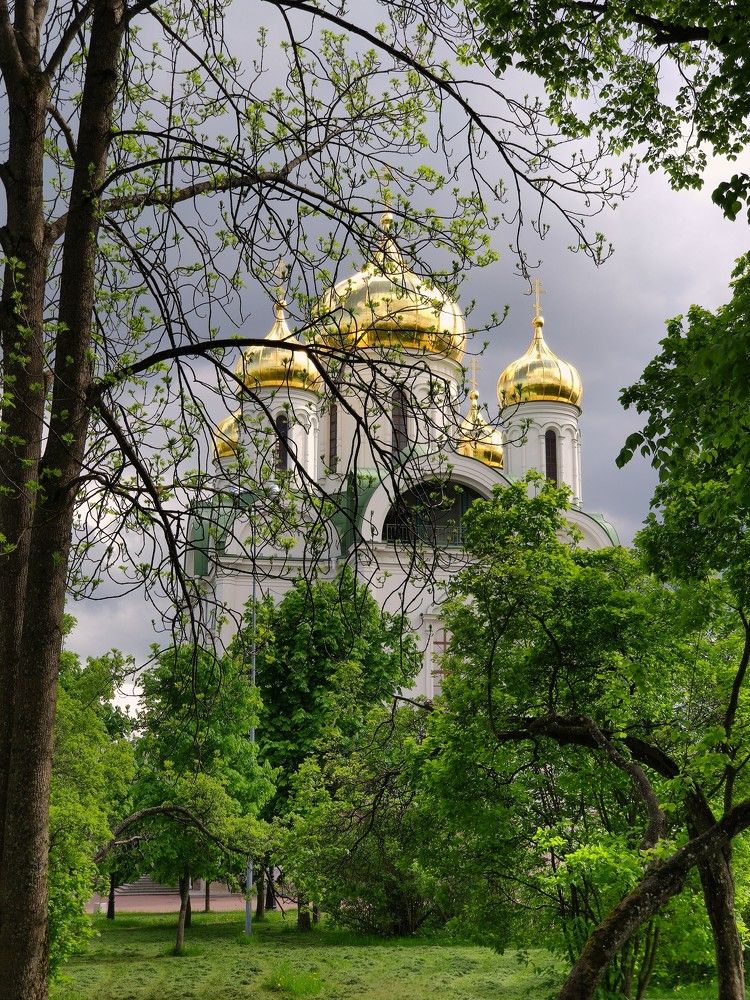 Photograph by Алексей Рубцов