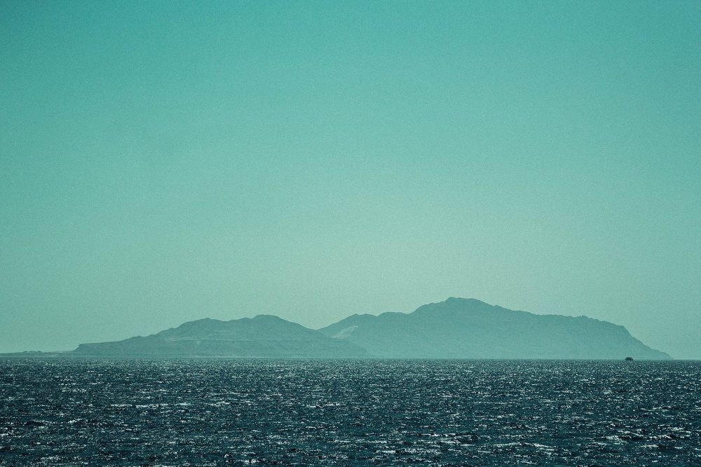 Остров дельфинов