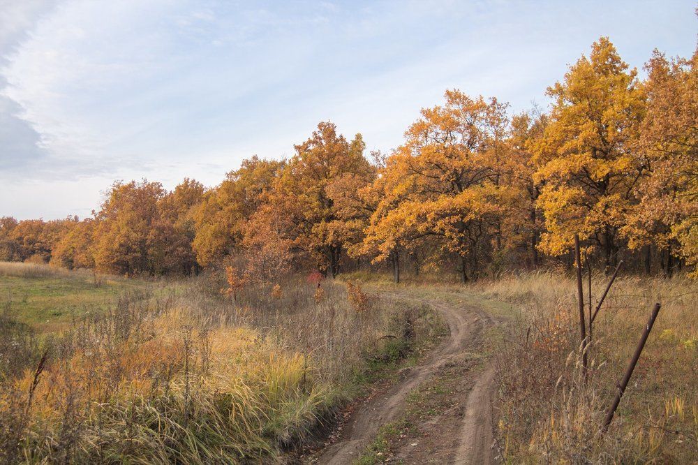 Золотая осень