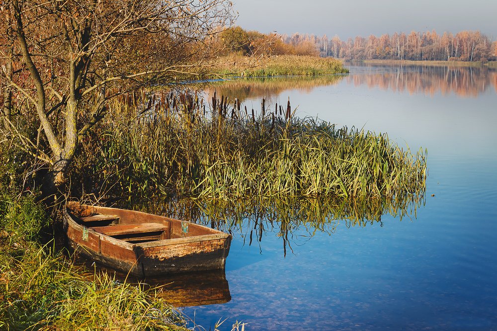 Возвращение домой