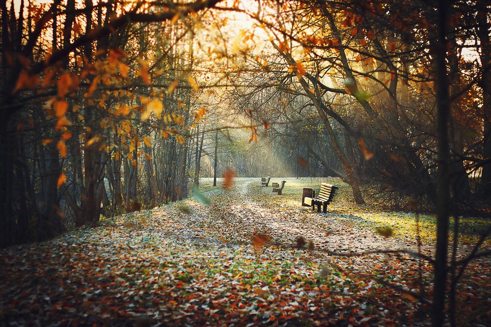 Одиночество