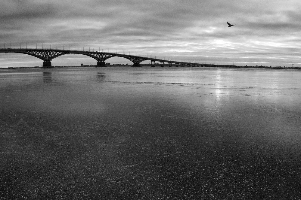 Фотография автора Михаил Гребенщиков