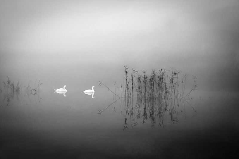 Camelia Sopon, Romania