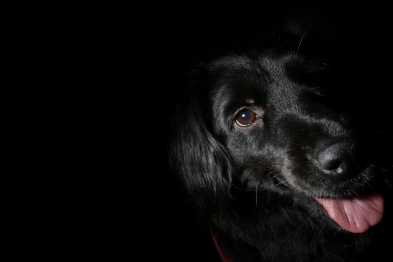 Guilherme Henrique Nascimento Ranieri, Brazil