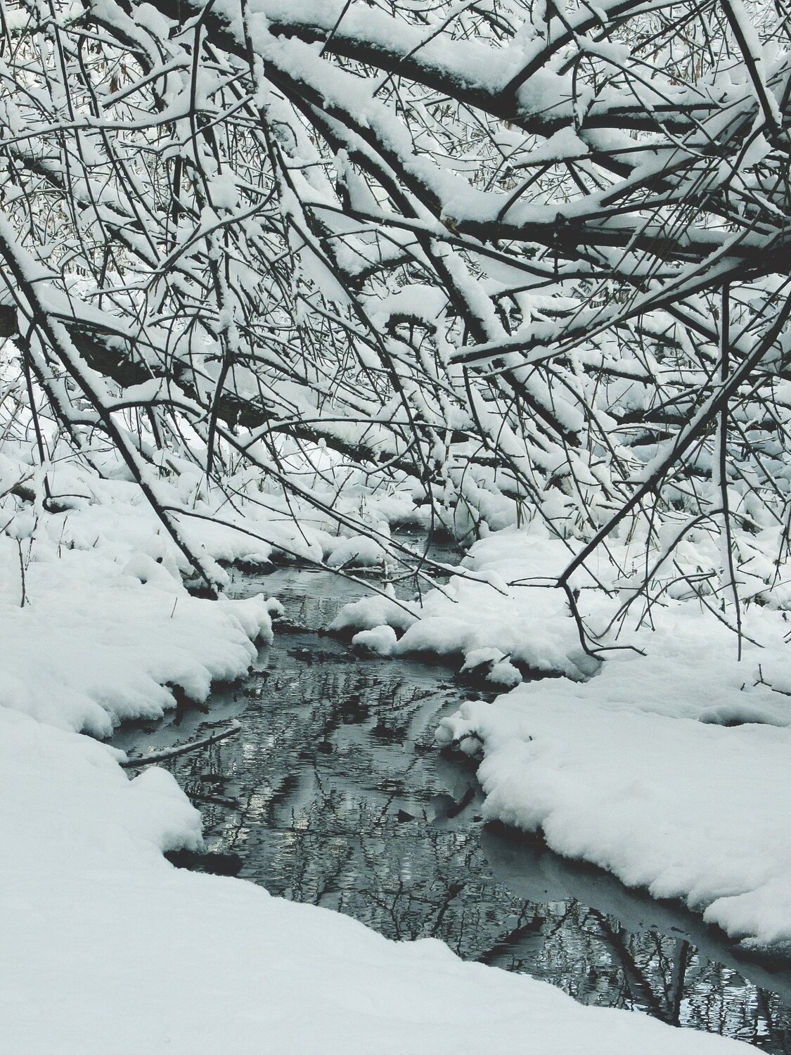 Борьба