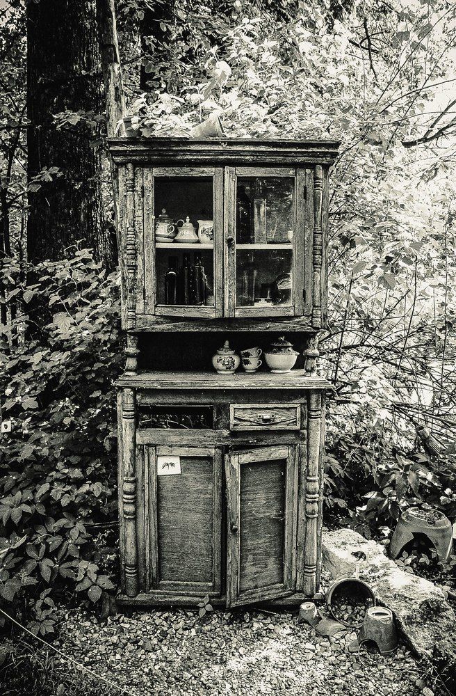 Черно-белая фотография в ботаническом саду