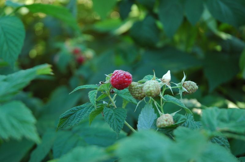 Марина, Russia