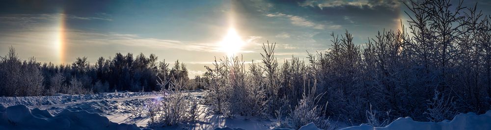 А на небе гало, гало...