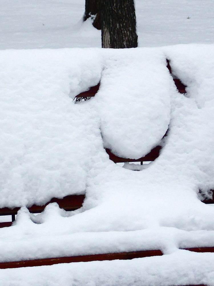 Чеширский Дед Мороз!