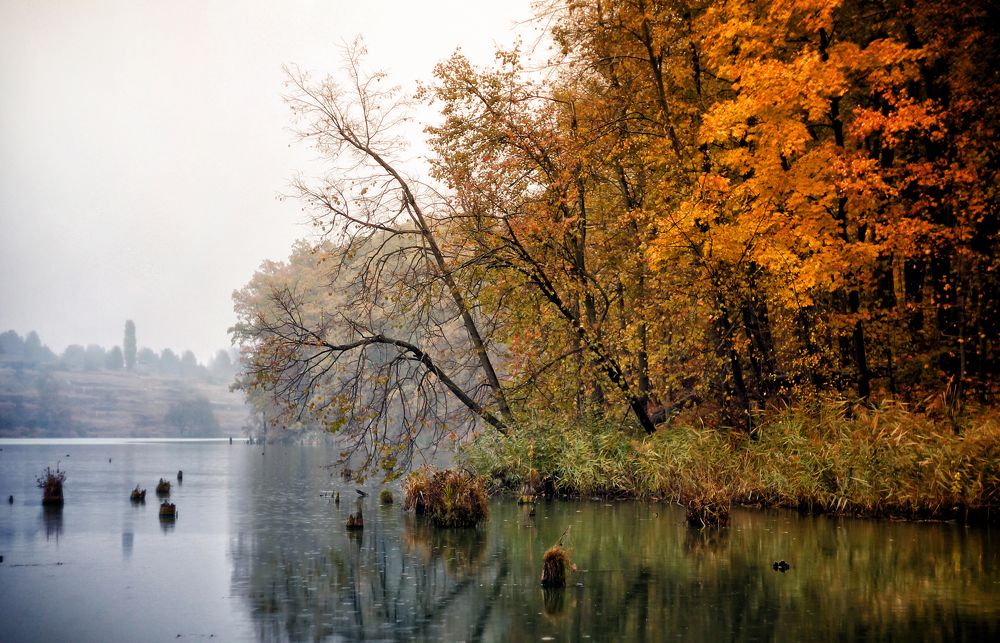 "Осенний дождь..!