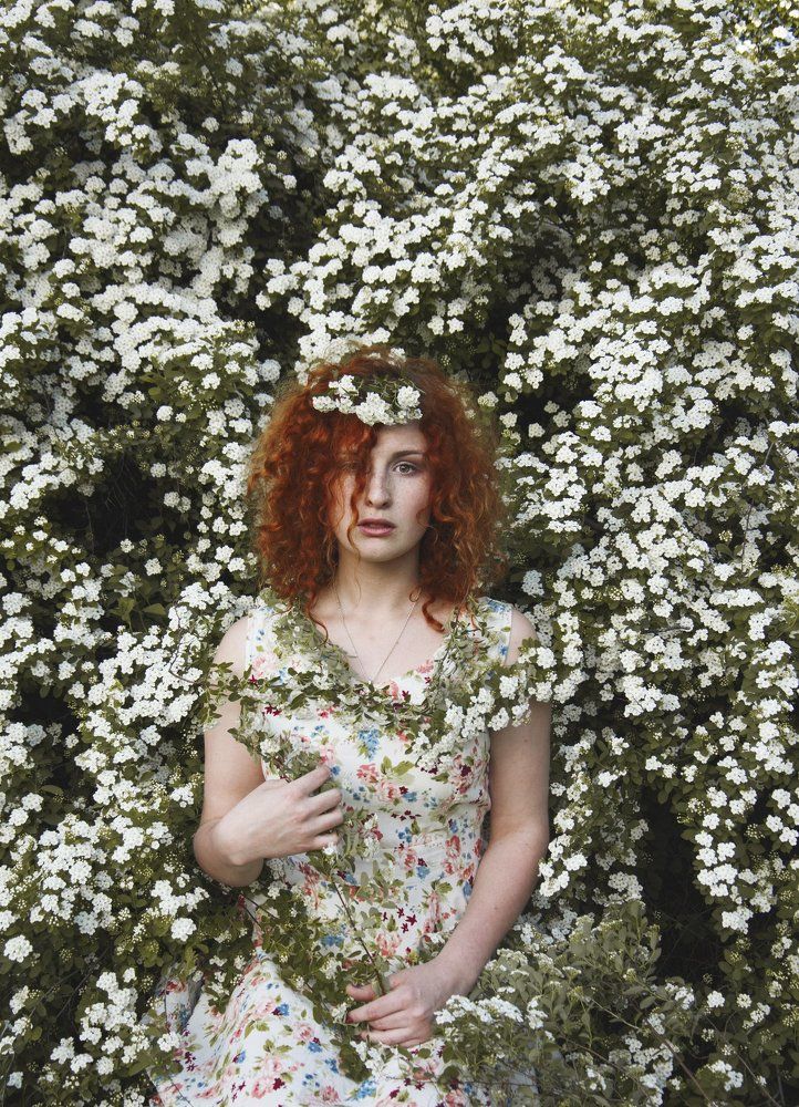 White Bloom Of Spring