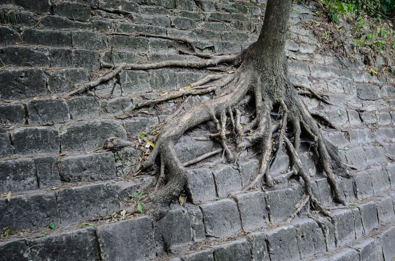 Юрий Волк, Ukraine