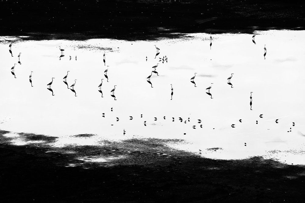 Мелодия летней ночи.