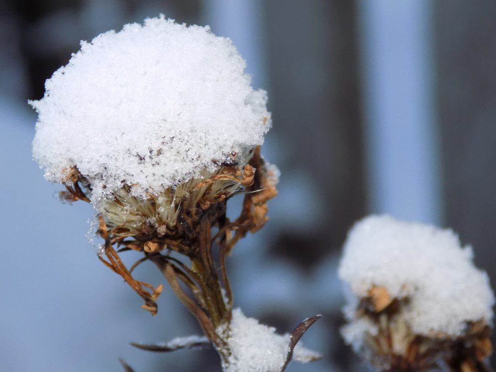 Зимнее утро.