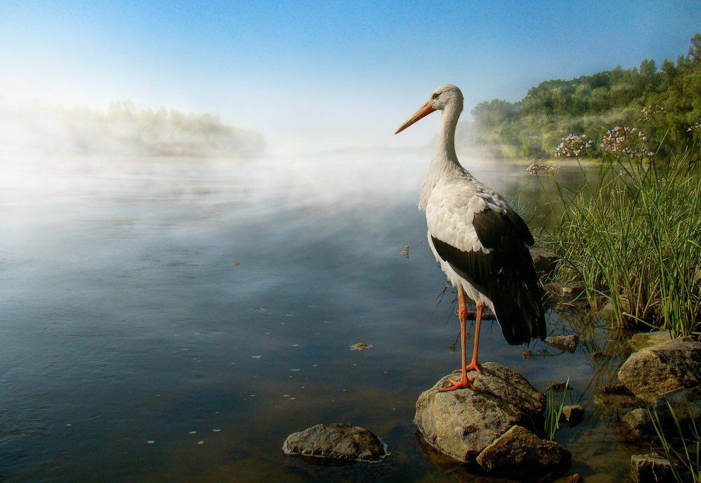 Провожая рассветы