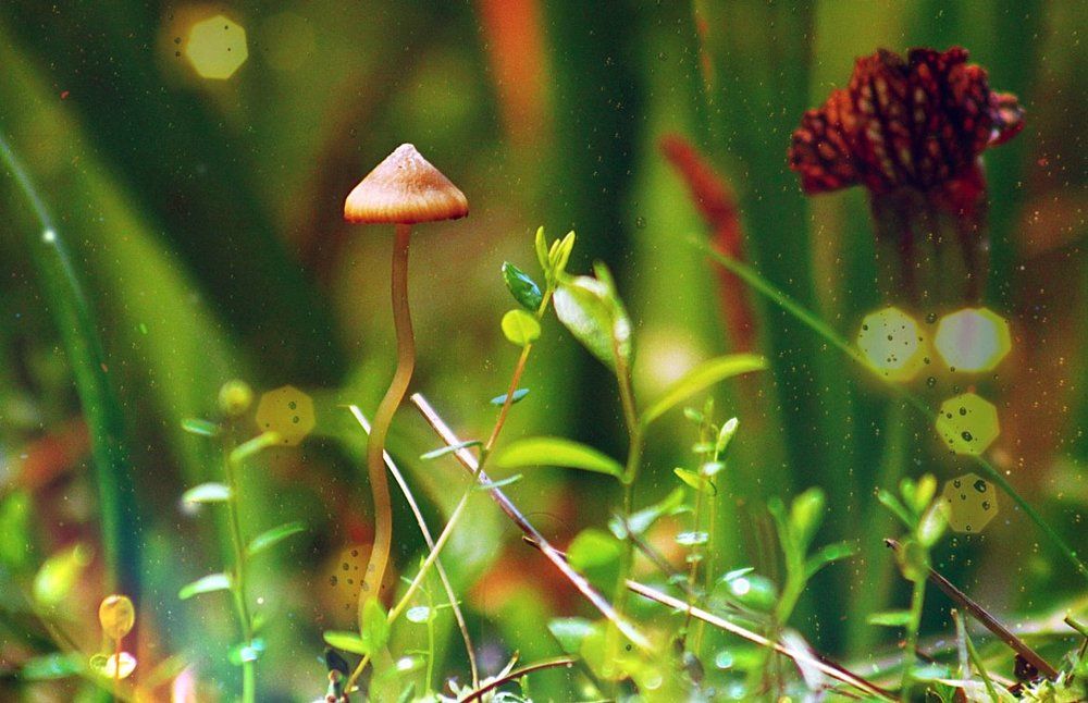 Плохая девочка