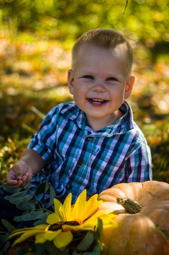 Краски осени