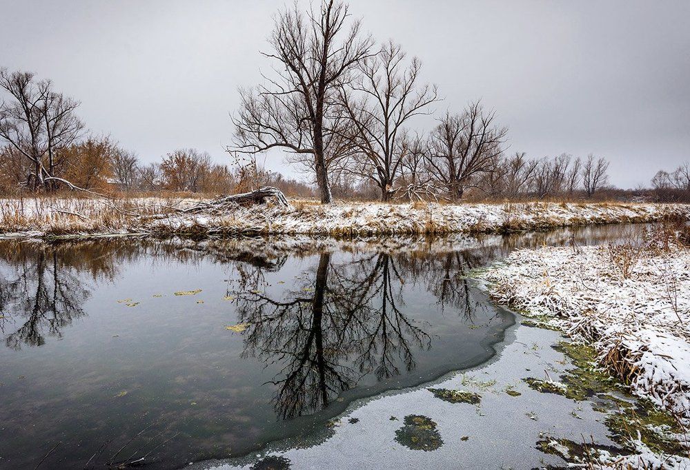 Первый снег, первый лёд...