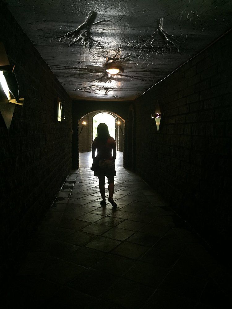 The wine tunnel