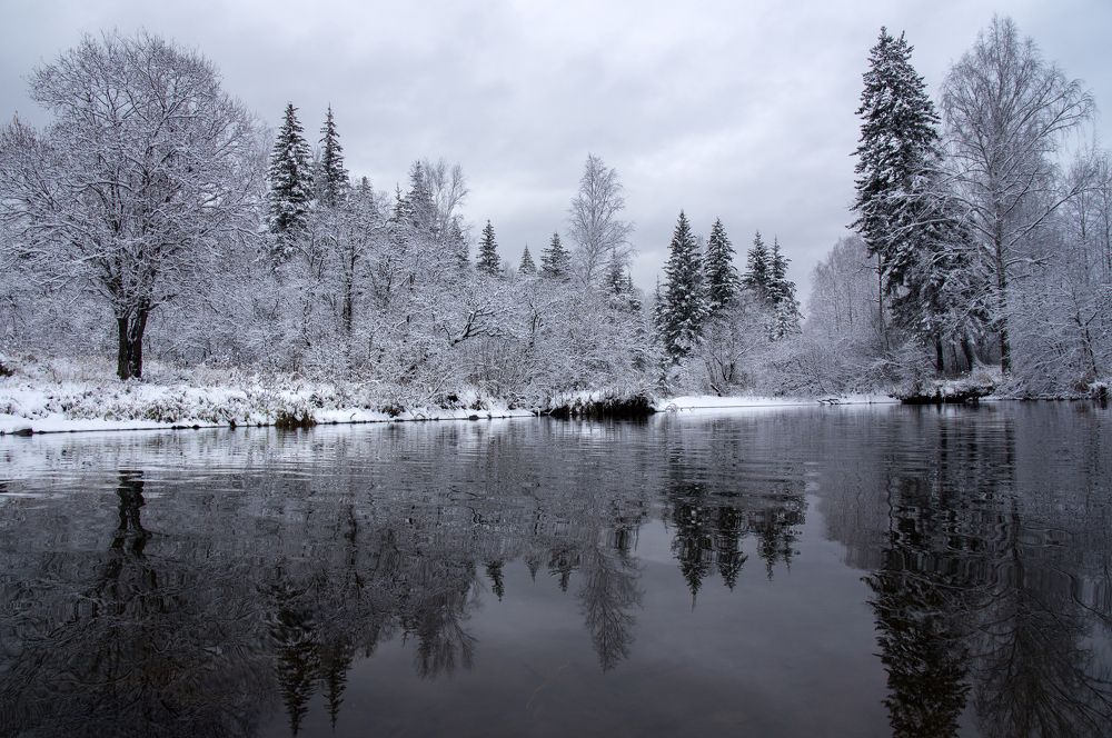 Первый снег