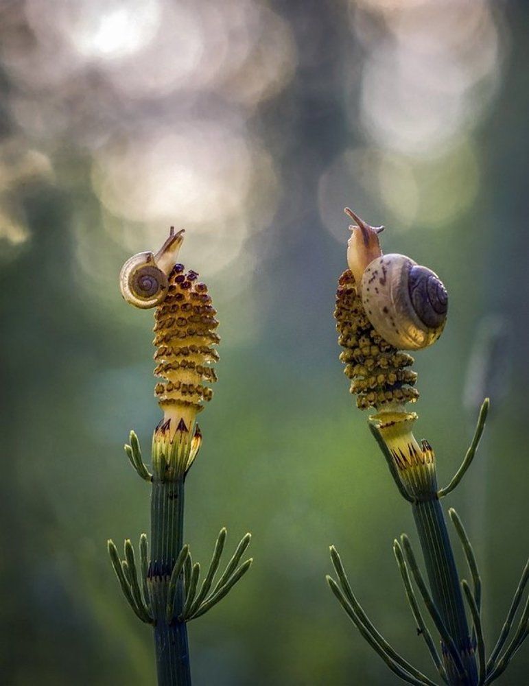 Зовет куда-то Млечный путь ...