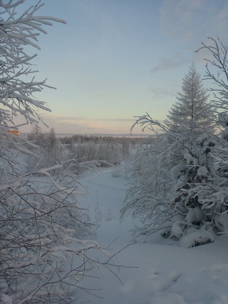 Утро нового дня