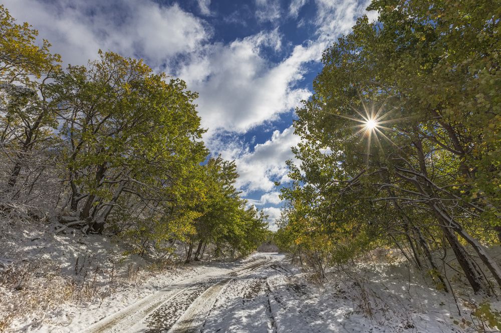 Все смешалось в октябре