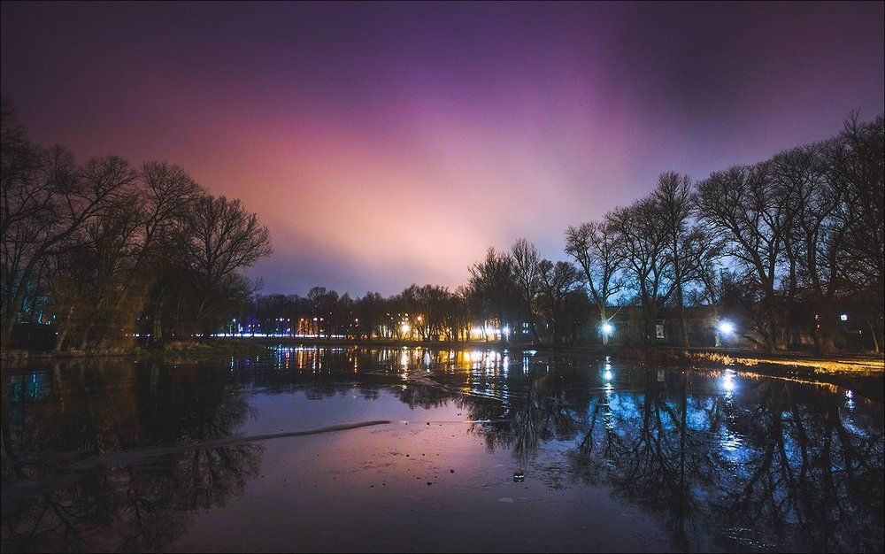 Грибное сияние