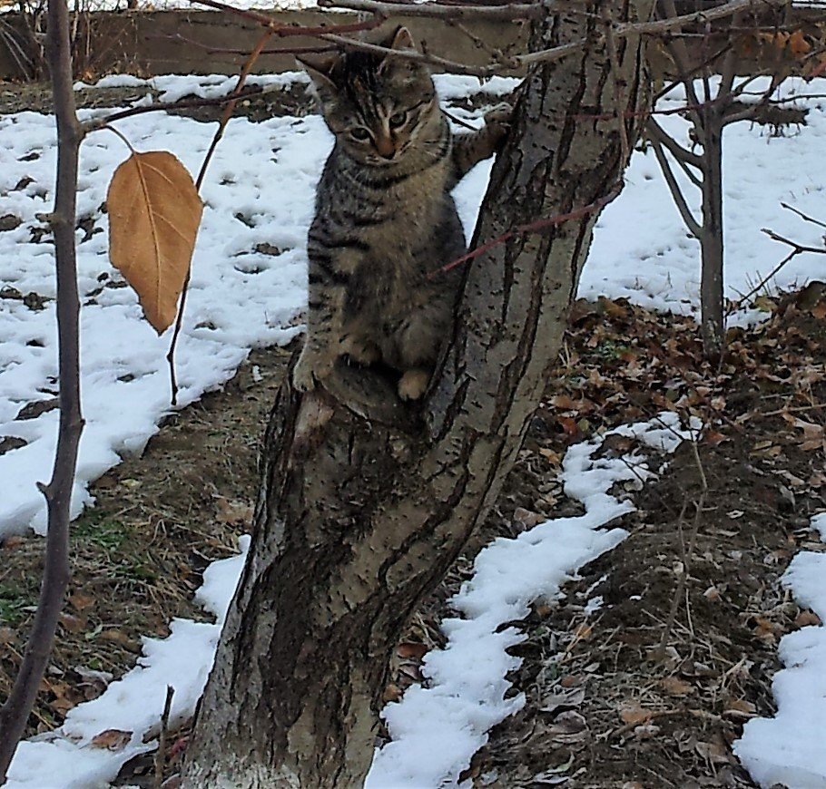 Photo #1119239