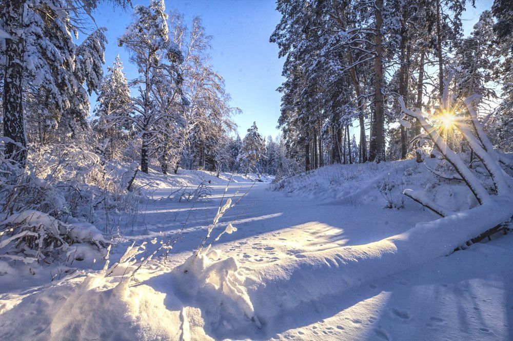 В 30-ти градусный мороз