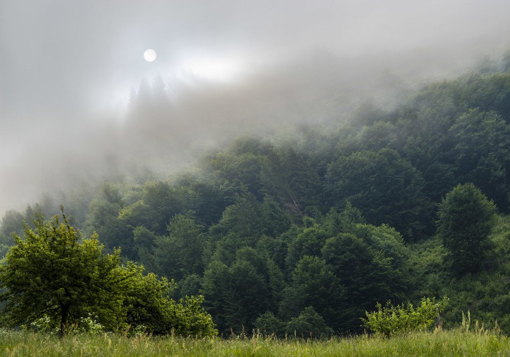 Пробилось солнце!