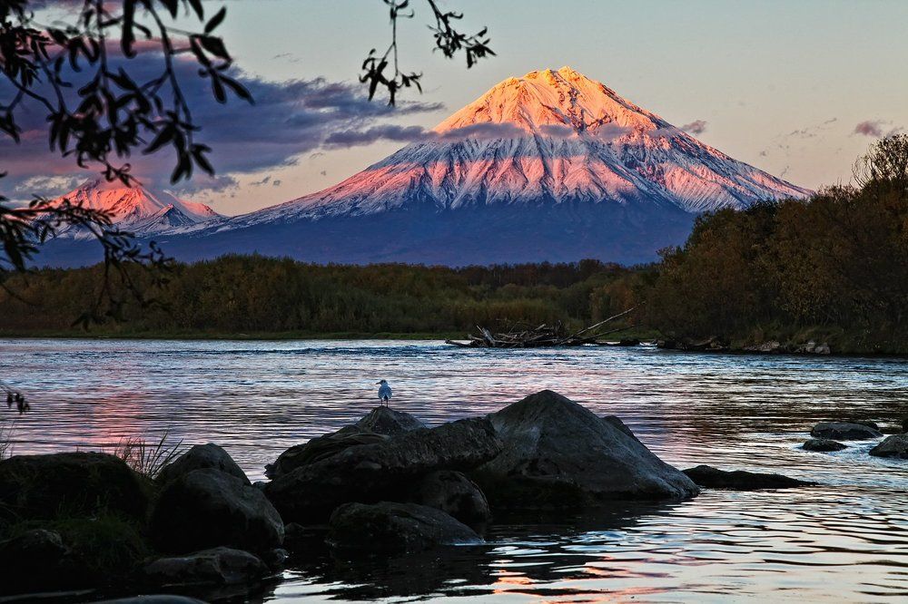 река Авача и Корякский вулкан. Камчатка