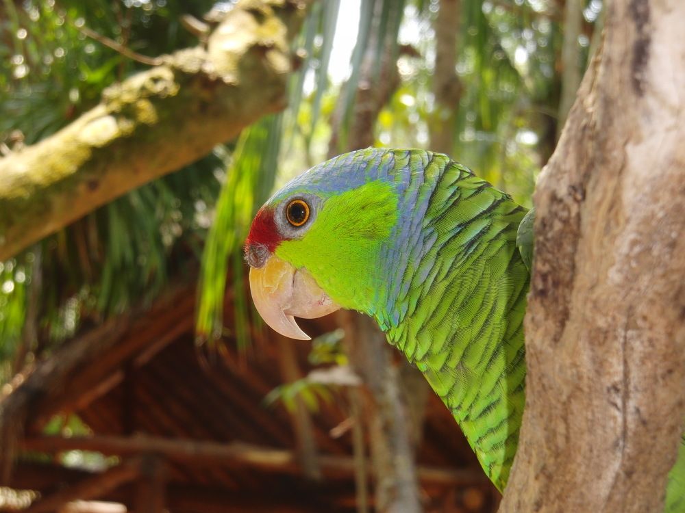 Photograph by Вадим Богатиков