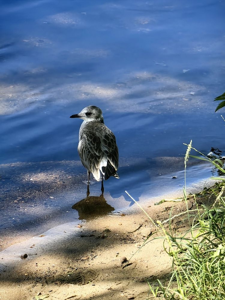 Photograph by Ольга Зимарина