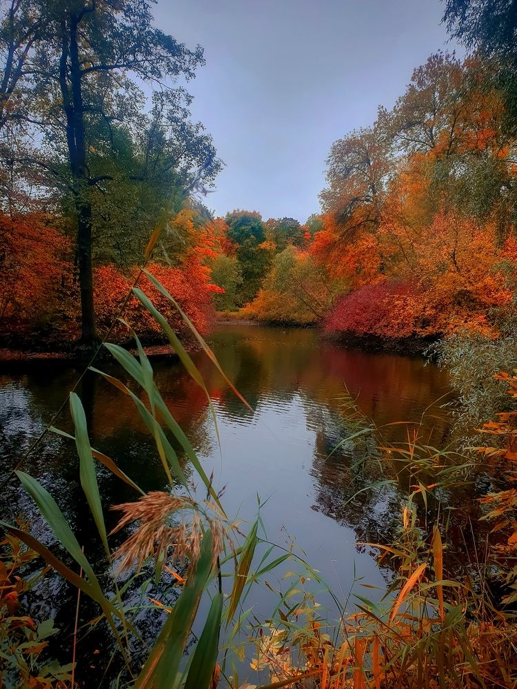 Фотография автора Inna Evseeva