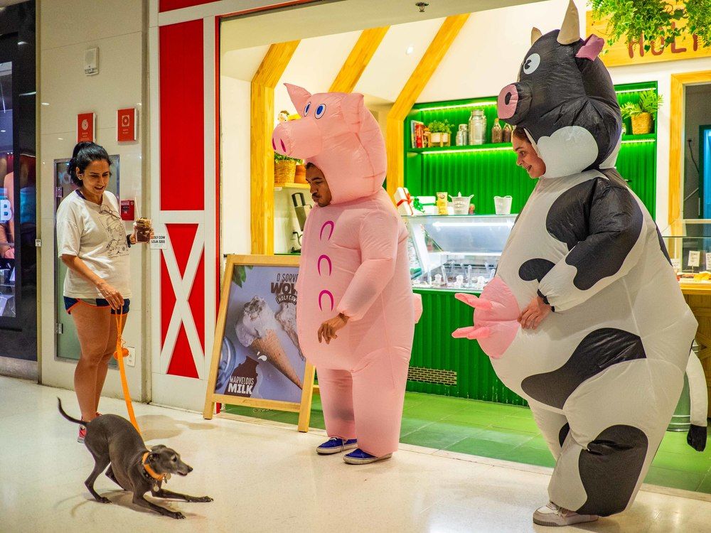 Photograph by Apolo Salomão Sales